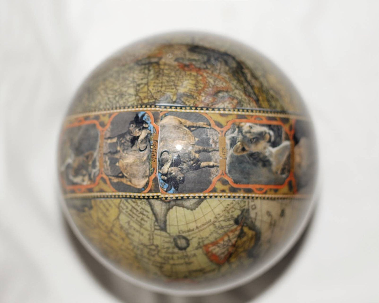 World Map African Big 5 Animals on leopard print background, Large Authentic Ostrich Egg Shell Decoupage Art. Home Decor Christmas Gifts.