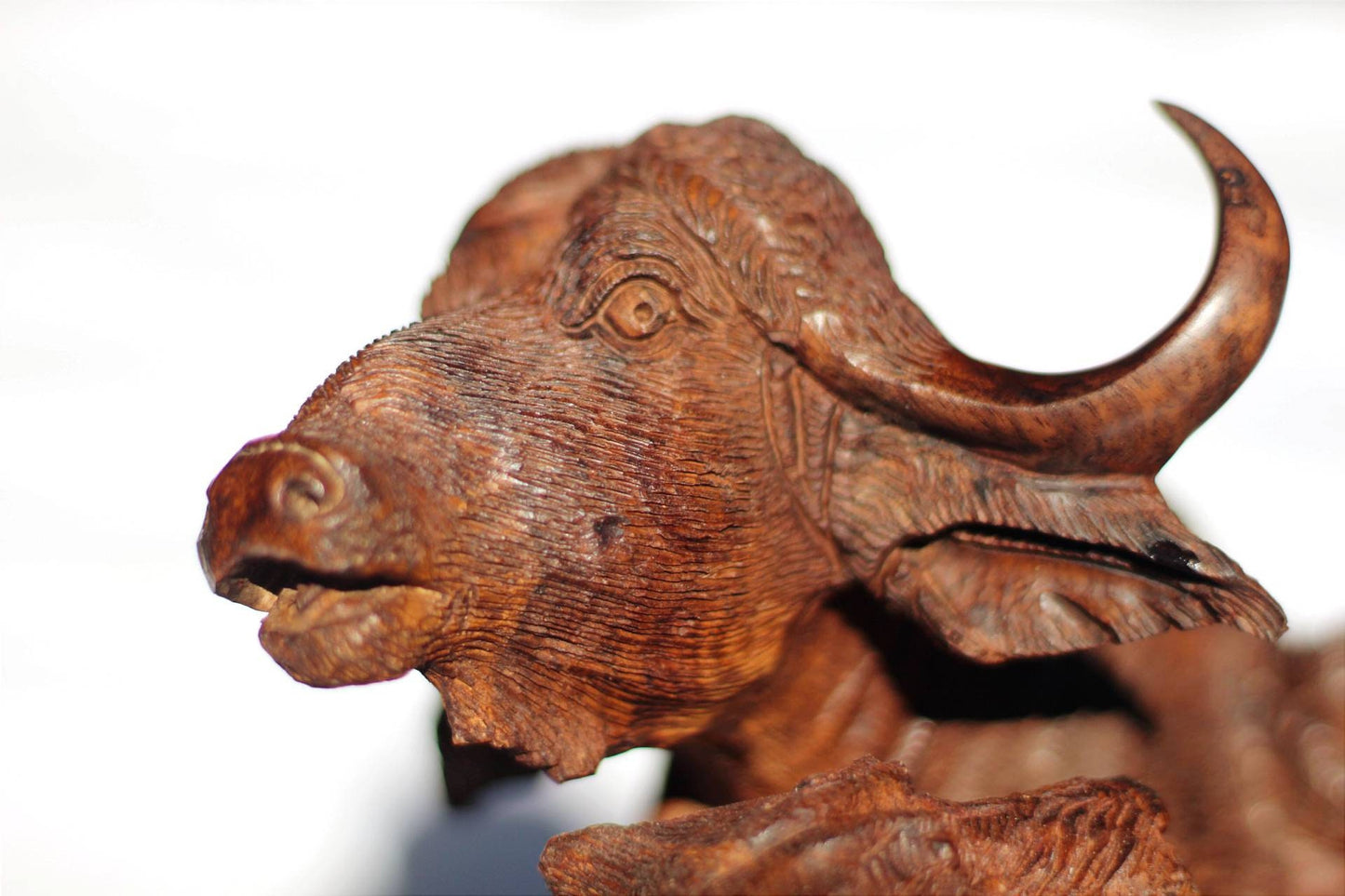 Sculpture en bois de fer sculptée à la main représentant 2 lions attaquant un buffle du Cap. Décoration intérieure africaine Big 5. Sculpture/cadeaux d'art zimbabwéen