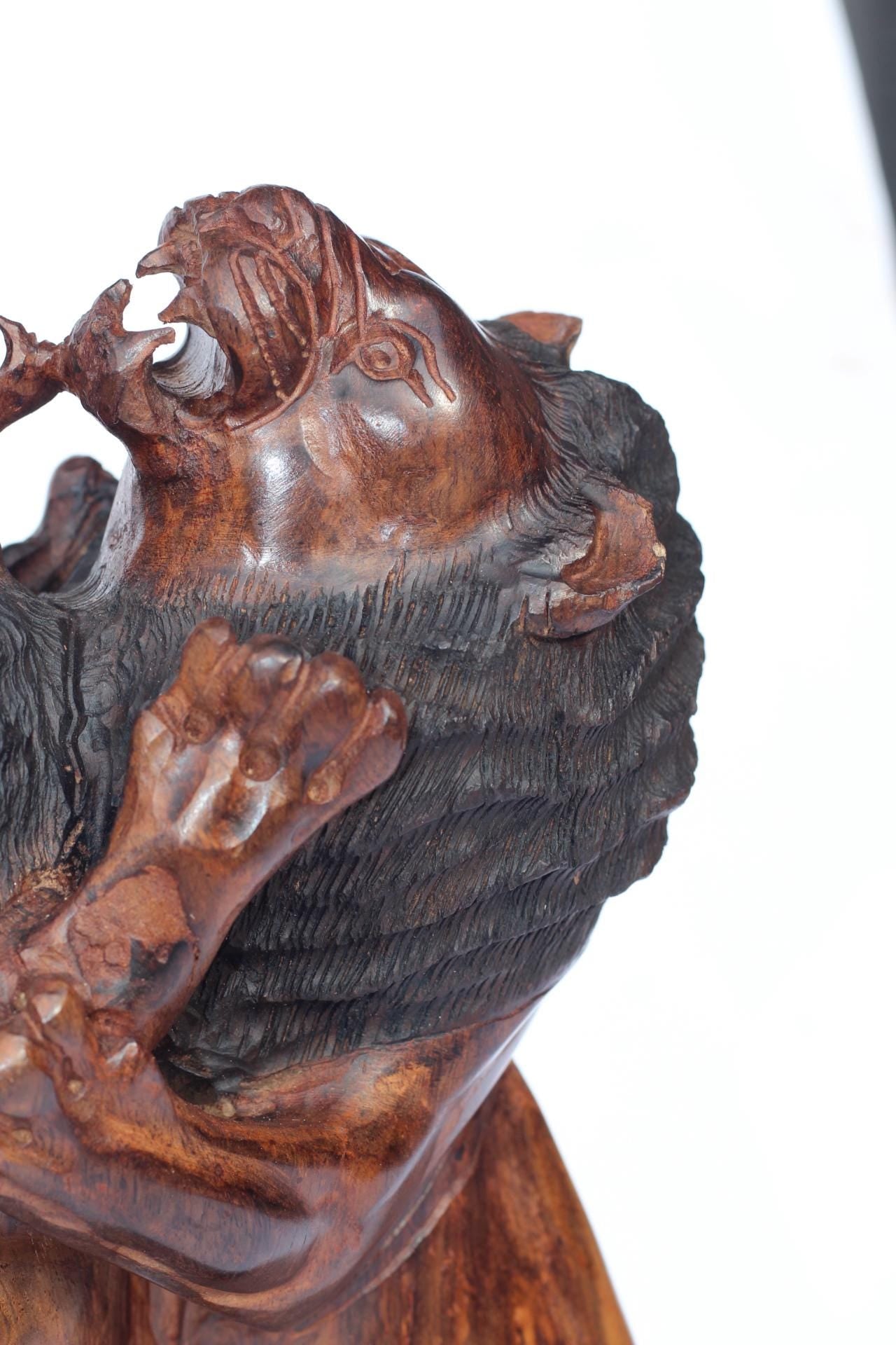 Large Fine Art Adult Lions brutal fight, usually over Territory. Handcarved Ironwood Masterpiece. Realistic Zimbabwe Lifelike animal Decor.