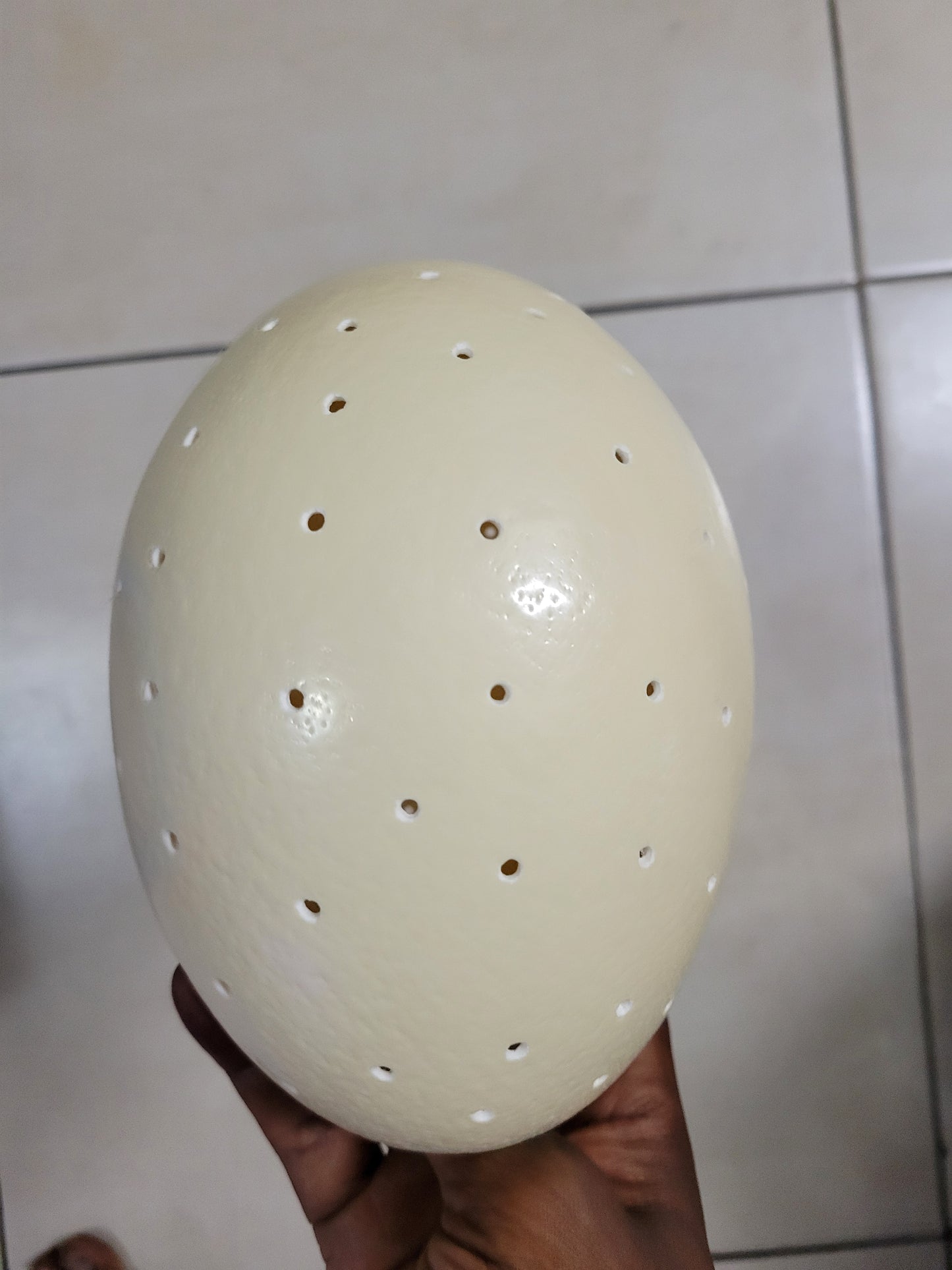 Custom Order from Ebay Ostrich Eggs lighting Lampshades with 2mm holes. Handmade South African Art Office decor Handcrafted housewarming/anniversary/wedding gifts