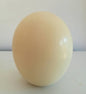 Set of 4 Ostrich Eggs Custom Order for Rachel