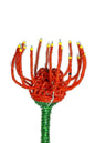 Beaded Pincushion Protea flower. Home and Office Decor floral Artwork by Job Guwhe. Express Shipping Worldwide. Custom Orders Welcome