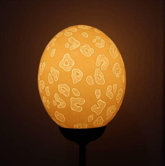 Leopard Spots hand carved on an Authentic Ostrich Egg Shell. Animal print Lampshade, Home Decor lighting. African Art Gifts Ready to Ship.