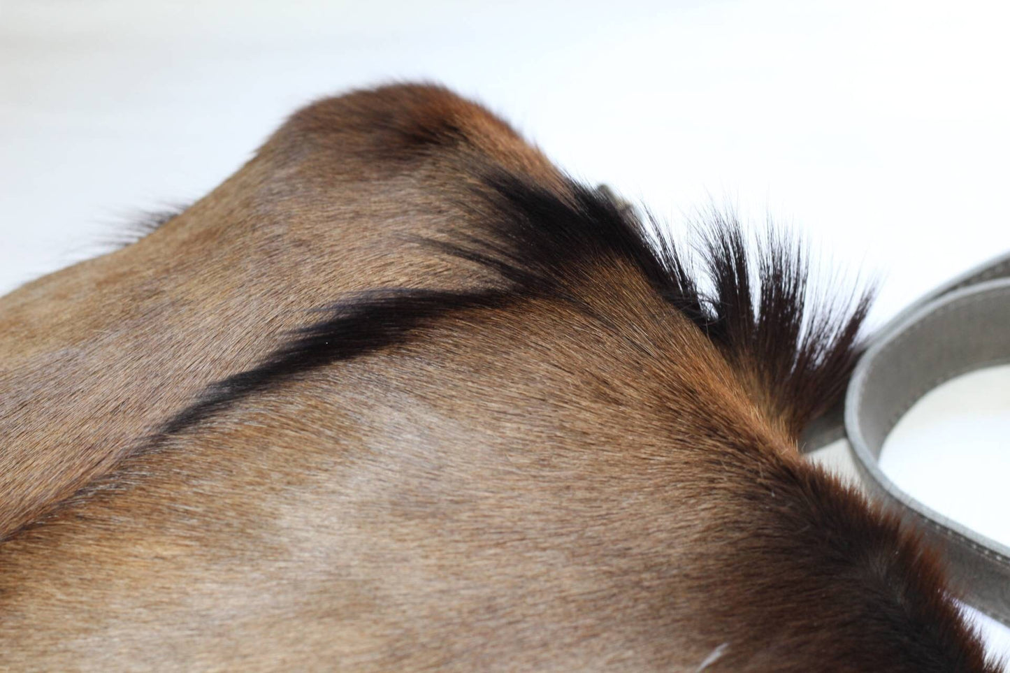 Premium Leather Antelope Hide Sling bag gift. Brown fur with brown back and Strap. Original color from a Rare South African Black Springbok.