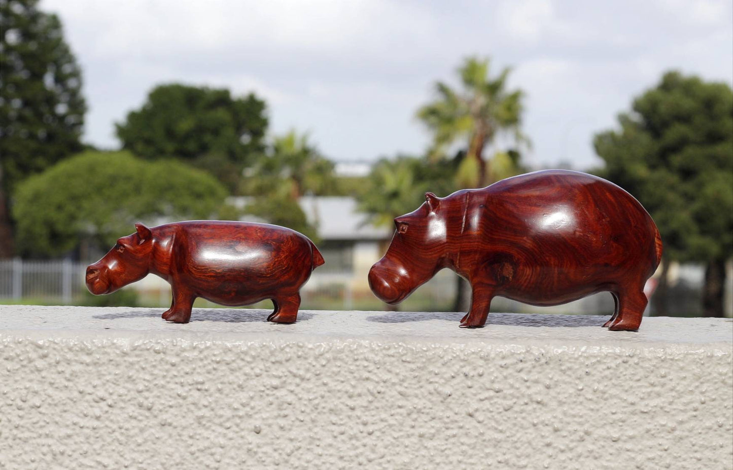 Teak Wood Carved Hippo Sculptures. Zambian style lifelike figurines shipping Worldwide from Cape Town South Africa. Unique gift items