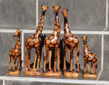 Set of 5 Fine Art Olive Wood Burnt Giraffe Herd standing mini figurines. Zimbabwean Carved Artwork. Home/office decor African animals gifts
