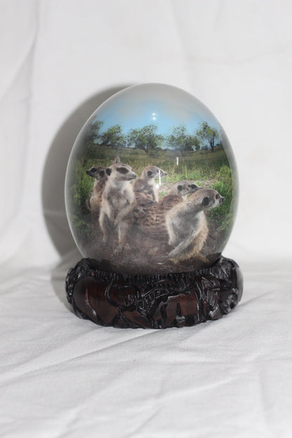 Meerkat Family on Authentic Ostrich Egg Shell Decoupage Art. Unique African Home and office decoration gifts Express Shipping Worldwide