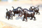 Glattes Set mit 4 Wildschwein-/Warzenschweinfiguren aus echtem Ebenholz, handgeschnitzt. Sambische Wildtierschnitzerei. Afrikanische Kunst, Weihnachtsgeschenke