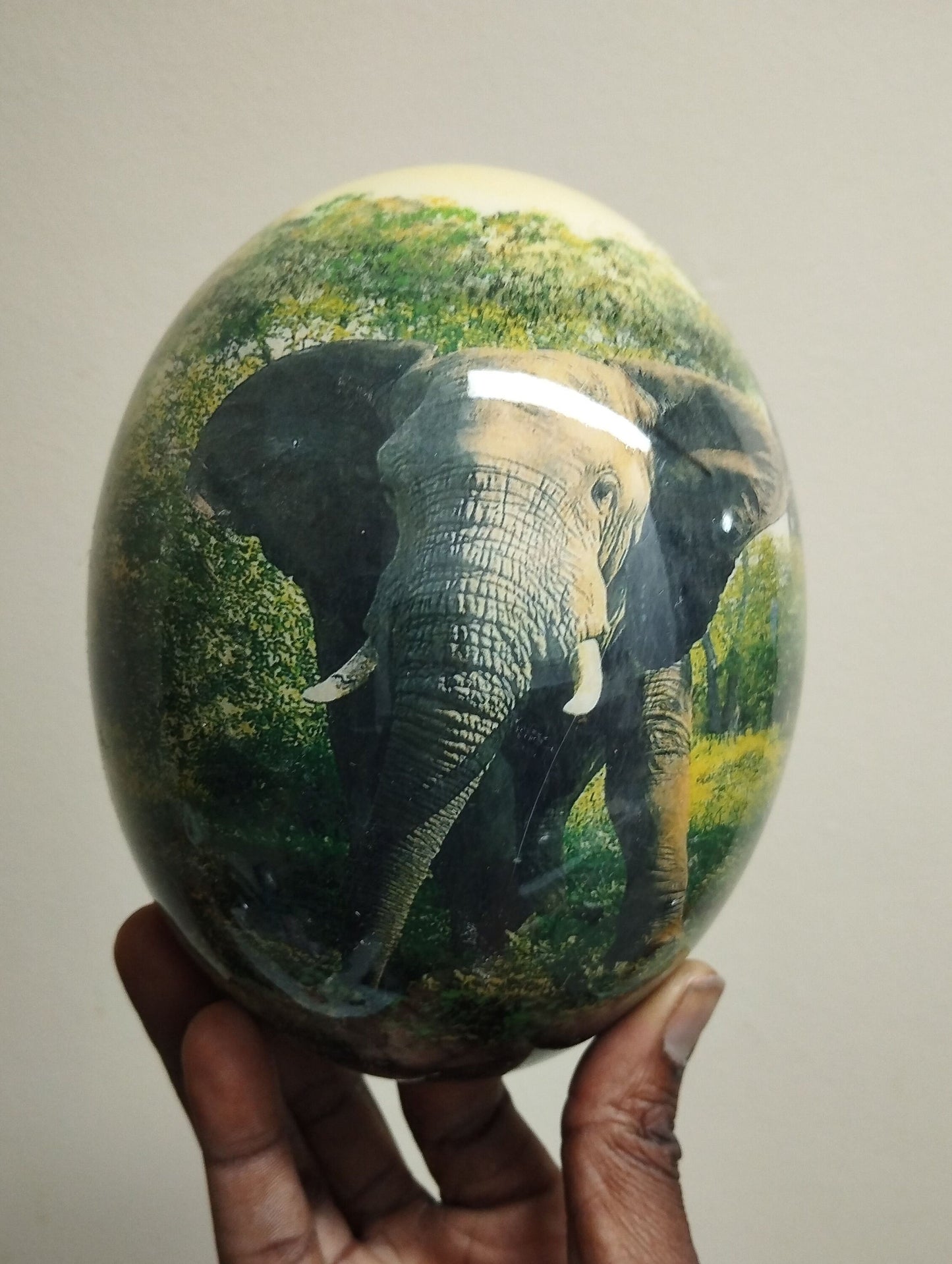 Ostrich Egg Decoupage Gray Elephant Art. Africae Tabula Nova, Green Map of Africa Background. Home or Office decor Art Gifts ready to Ship