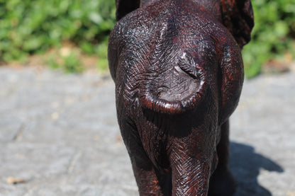 Realistic Elephant Carving Ironwood Sculpture. Ear Scratching with trunk, Zimbabwean hand carved fully detailed art figurine. Ready to Ship