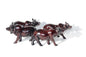 Smooth Fine Art Carved Buffalo herd of 4. Dark brown ironwood interior/Office Décor. Walking life like sculpture 13×7cm. Ready to Ship Gift