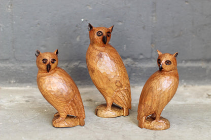 Olive Wood Carved Owls set of 3. light brown polished Zimbabwean Handcarved birds giftset for home decor. Ready to Ship African Art