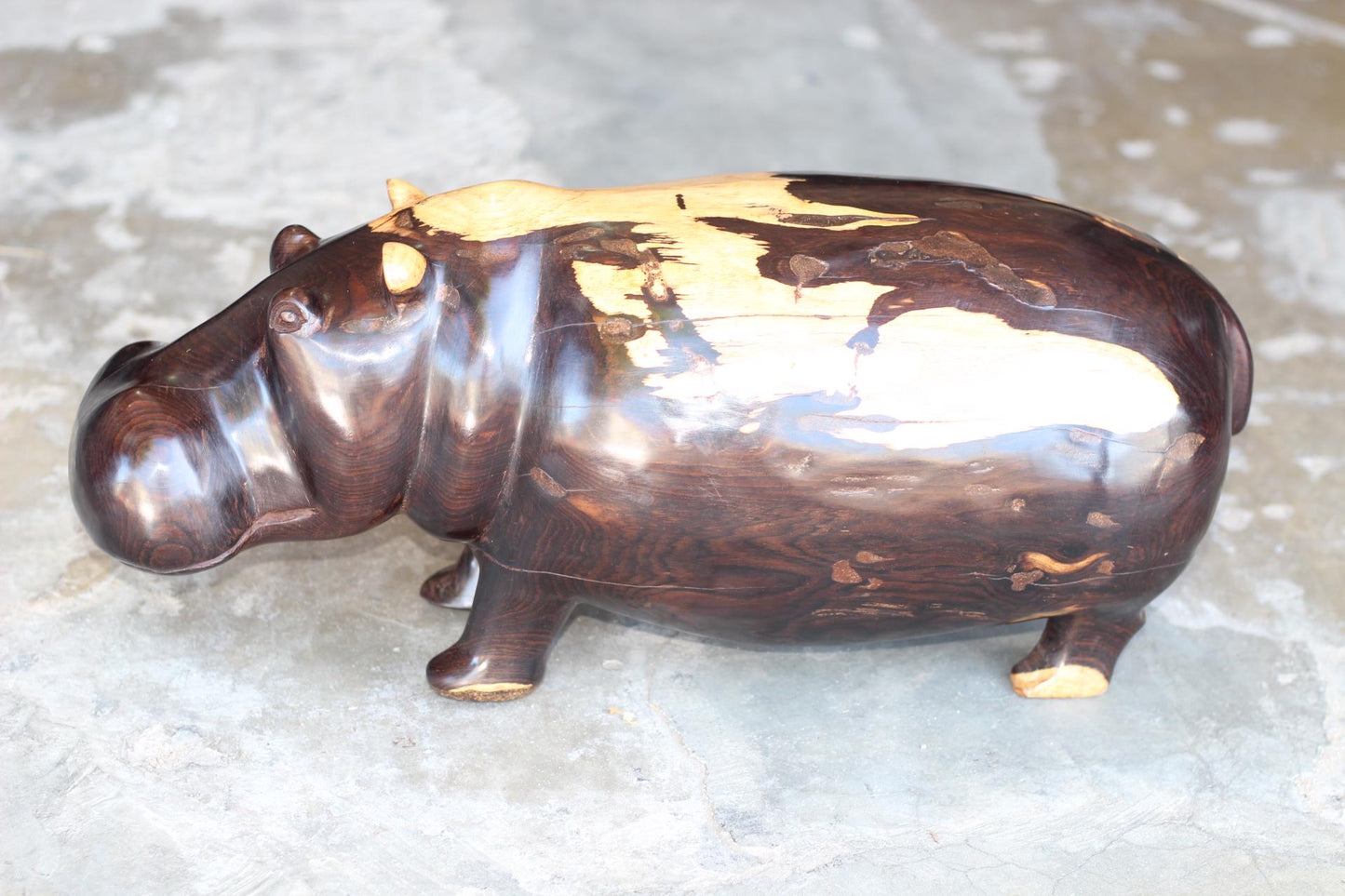 Extra Large Multi Colour Ebony Wood Carved Hippo Sculpture. Has visible wood grains in the dark rich wood. Unique African gift ready to Ship