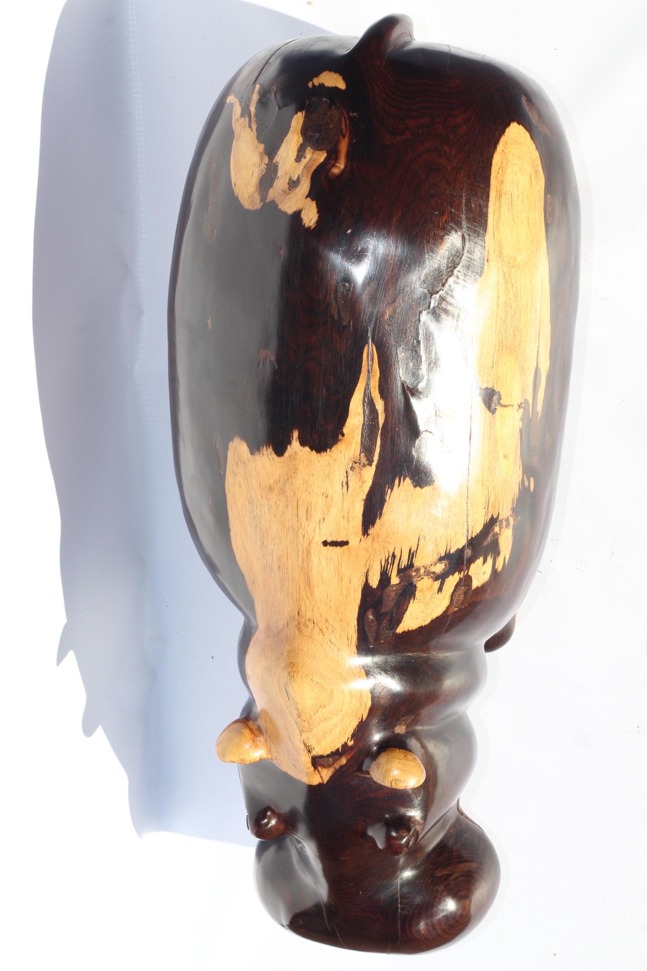 Extra Large Multi Colour Ebony Wood Carved Hippo Sculpture. Has visible wood grains in the dark rich wood. Unique African gift ready to Ship