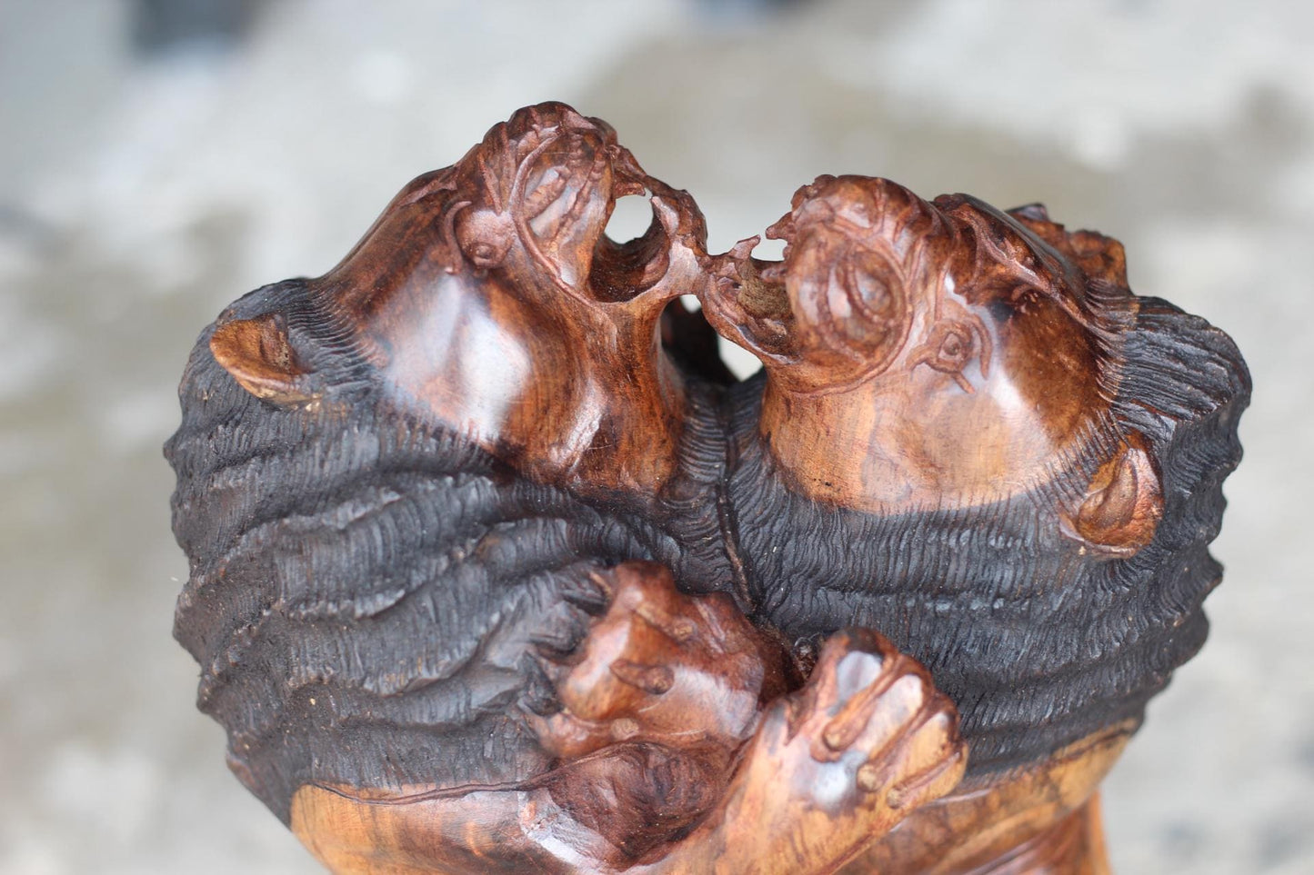 Large Fine Art Adult Lions brutal fight, usually over Territory. Handcarved Ironwood Masterpiece. Realistic Zimbabwe Lifelike animal Decor.