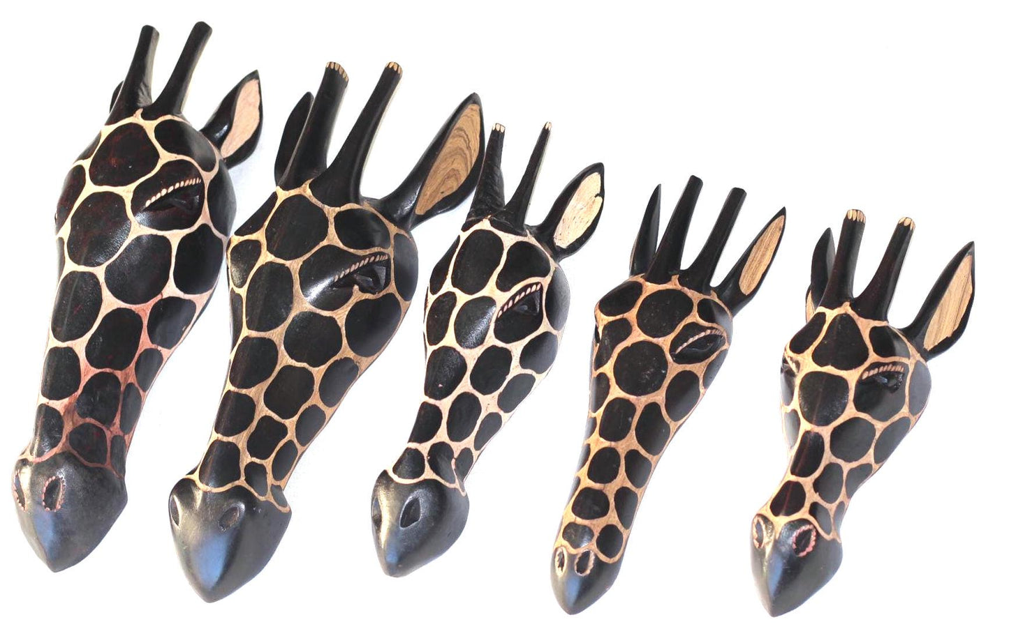 Olive wood Giraffe Head Trophy wall decor Mask. Lifelike fully Zimbabwean Handcarved African  Art gifts. Ready to Ship Worldwide