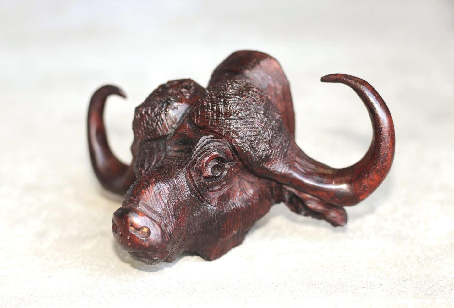 Water Buffalo head Ironwood carved Door Handle. Lifelike fully detailed Zimbabwean Handcarved African Big Five Art gift Ready to Ship.