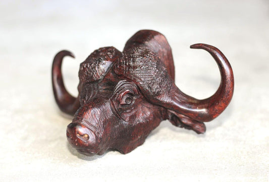 Water Buffalo head Ironwood carved Door Handle. Lifelike fully detailed Zimbabwean Handcarved African Big Five Art gift Ready to Ship.