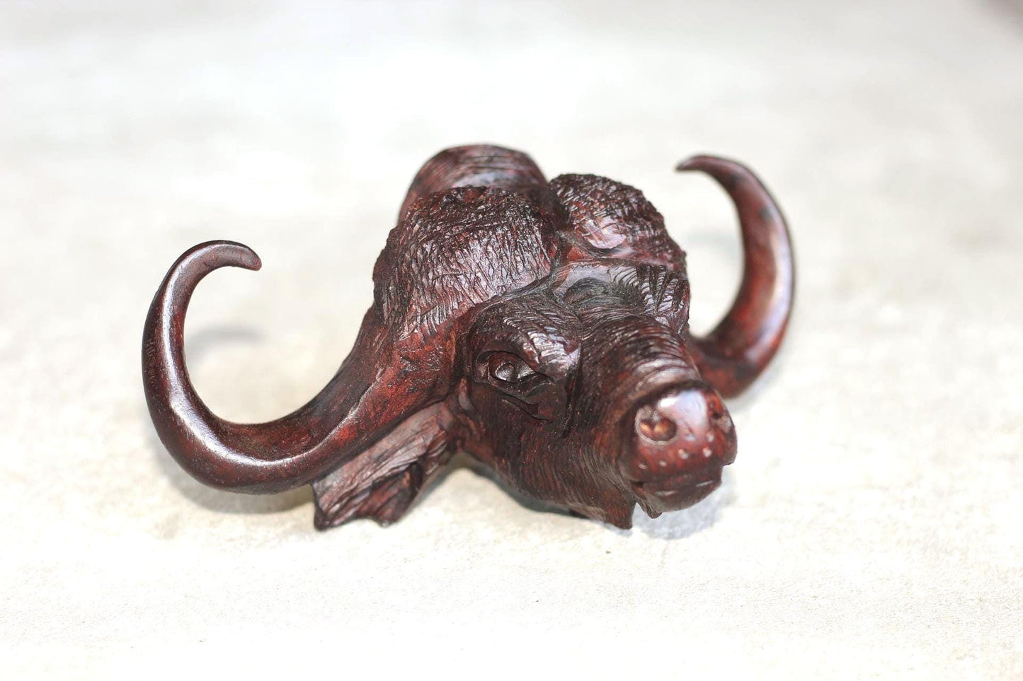 Water Buffalo head Ironwood carved Door Handle. Lifelike fully detailed Zimbabwean Handcarved African Big Five Art gift Ready to Ship.