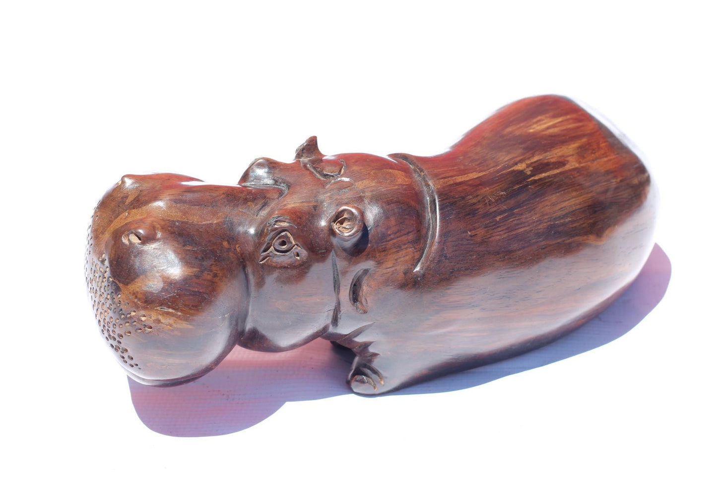 Iron Wood Life like sitting Hippopotamus Masterpiece. African Hand carved Hippo Art figurine. Safari decor gifts ready to Ship. 31×13×12cm