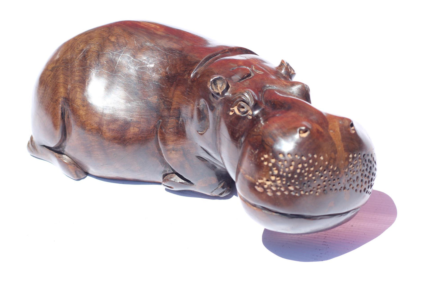 Iron Wood Life like sitting Hippopotamus Masterpiece. African Hand carved Hippo Art figurine. Safari decor gifts ready to Ship. 31×13×12cm