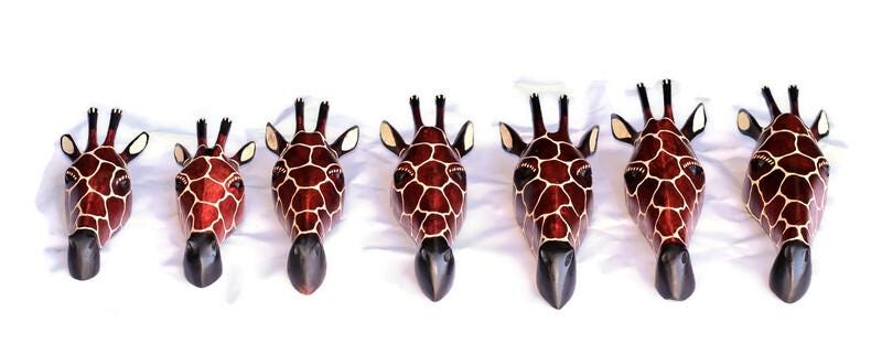 Brown Olive wood Giraffe Head Trophy wall decor Mask. Lifelike fully Zimbabwean Handcarved African  Art gifts. Ready to Ship Worldwide