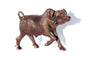 Fine Art Ironwood Walking Water Buffalo Masterpiece. Zimbabwe Handcarved Action life like African Home/Office Decor. Ready to ship Art Gift