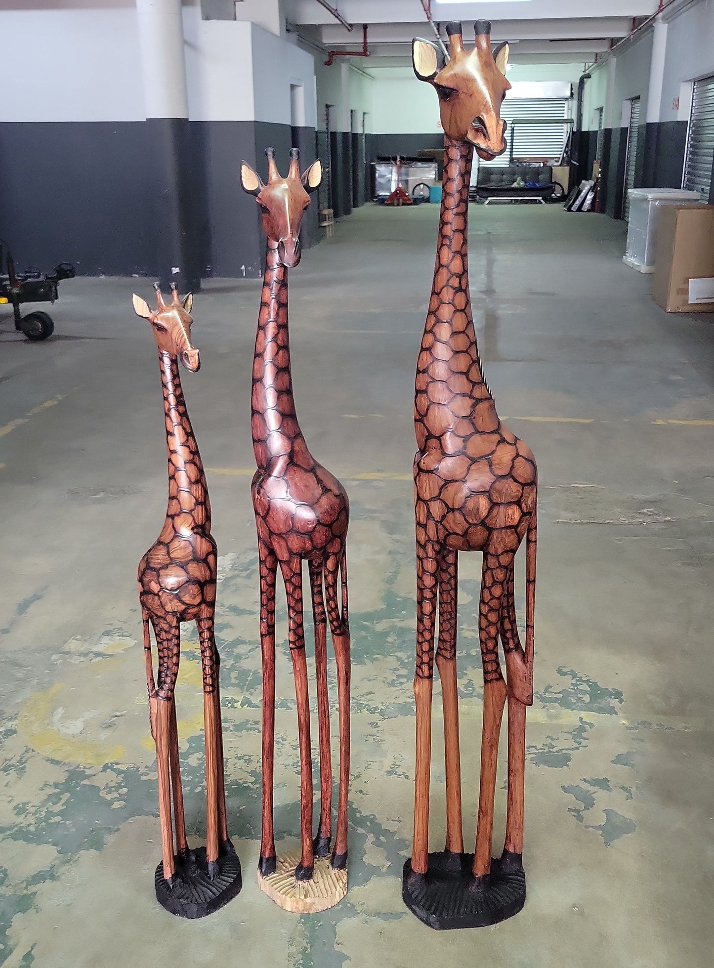 Custom Order , 160cm, 140cm and 120cm Fine Art Burnt Olive Wood Giraffe with Taxes Belgium