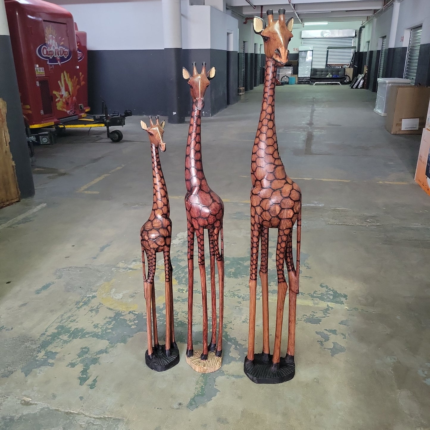 Custom Order , 160cm, 140cm and 120cm Fine Art Burnt Olive Wood Giraffe with Taxes Belgium