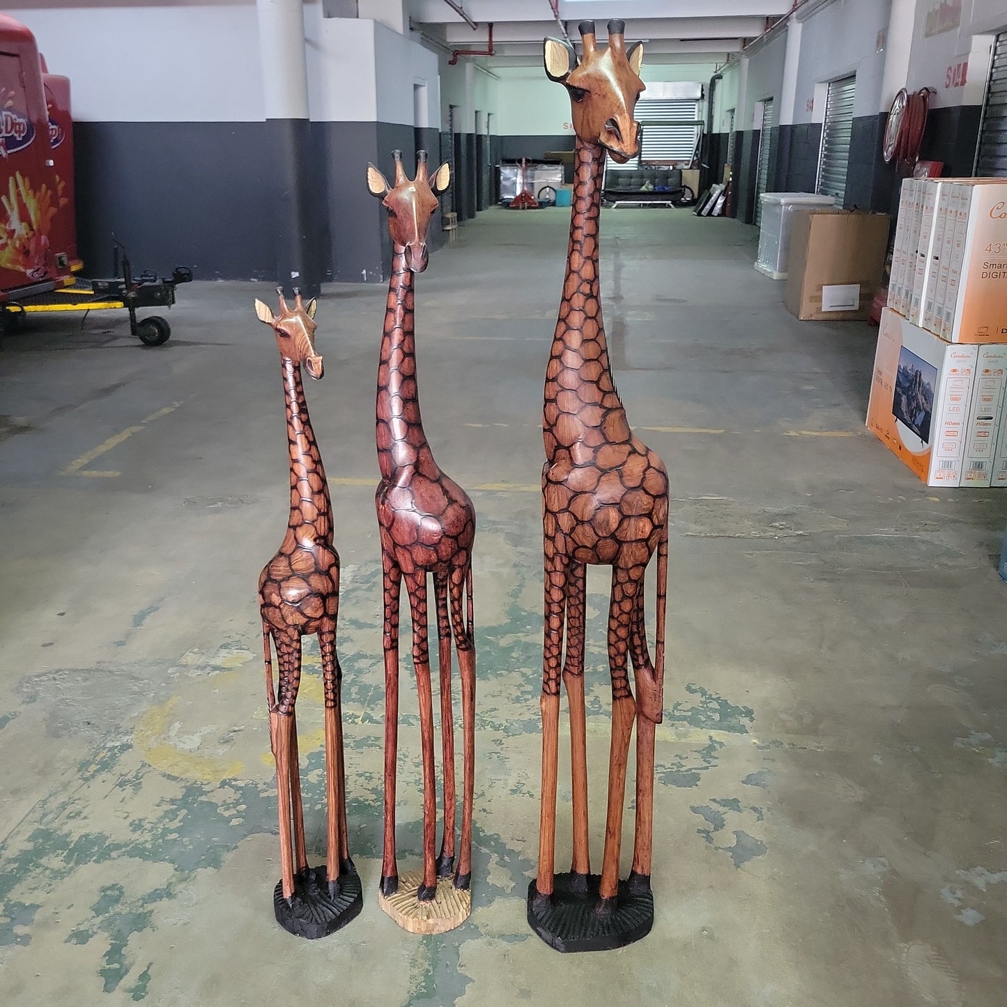 Custom Order , 160cm, 140cm and 120cm Fine Art Burnt Olive Wood Giraffe with Taxes Belgium